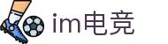 IM电竞 - 电子竞技平台